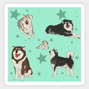 Alaskan Malamute Pattern Seafoam Sticker